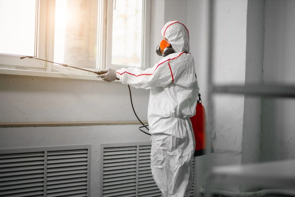 Professional mold remediation services in March Air Reserve Base, CA